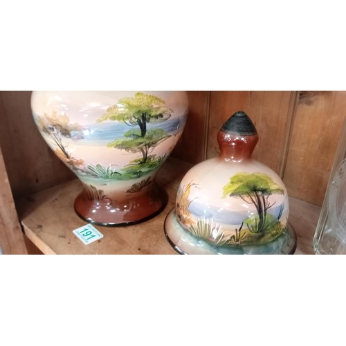 191 - Hand painted lidded vase