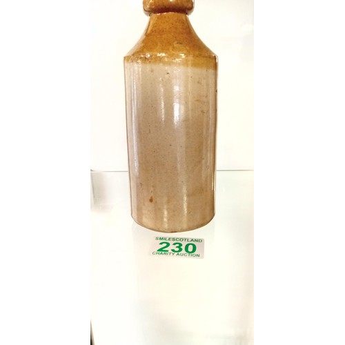 230 - W. Brownson & Co Eccles ginger beer bottle