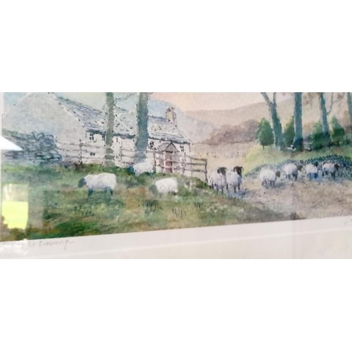 65 - Sheep at Evening by Colin Williamson 66x41cm approx.