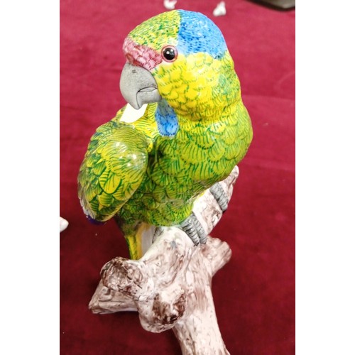 98 - Pair of Majolica style parrots