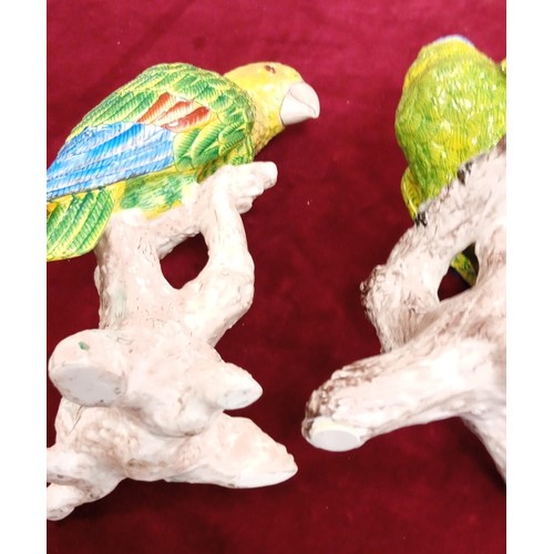 98 - Pair of Majolica style parrots