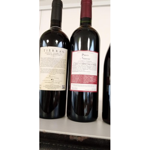 202 - 3x Bottles of red wine Las Dos Tierras 2015 Malbec, Plaisir de Siaurac 2019 & Beaujolais Villages