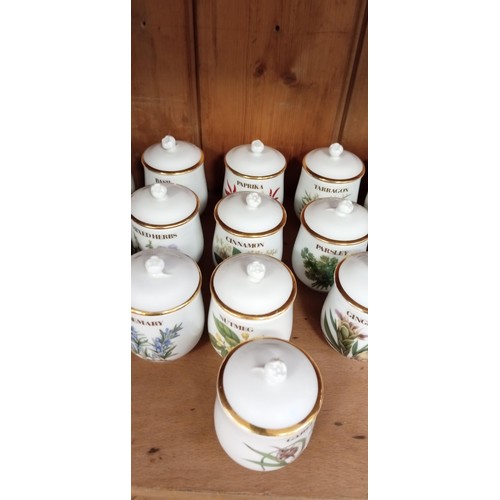 240 - Large collection of Royal Worcester Fine Porcelain herb jars