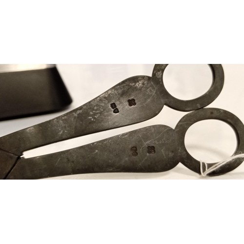 119 - Sterling silver fully hallmarked believed London fruit scissors see photos weighs 80g approx