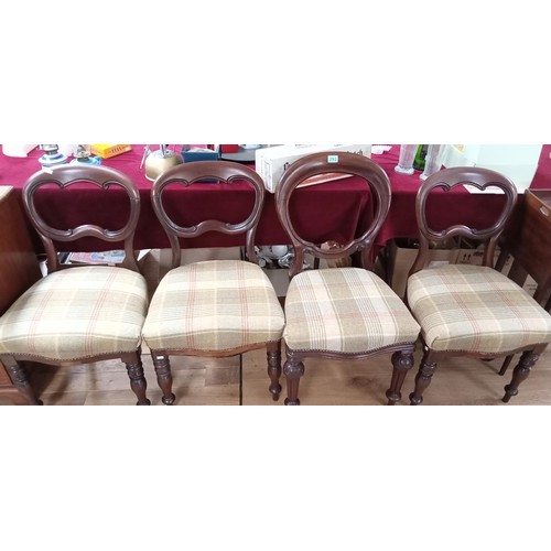 293 - 4 balloon back style chairs (3 same & 1 different)