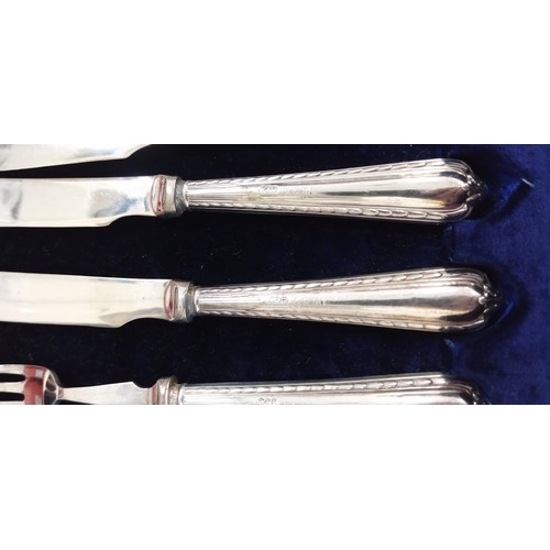 213 - Silver hallmarked cutlery set Sheffield 1920 maker Levi & Salaman