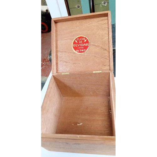 255 - 5 collectable jewellery boxes