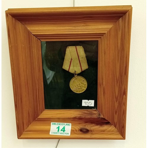 14 - Framed Soviet defence of Staling Grad medal