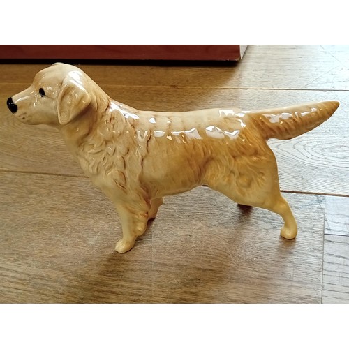 62 - Beswick England Golden Retriever dog