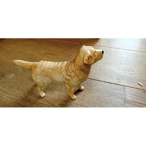 62 - Beswick England Golden Retriever dog