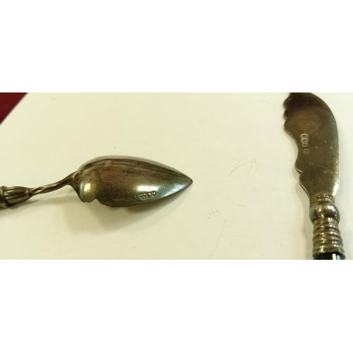 116 - Sterling Silver hall marked with Jade handles Fish knife and a spoon