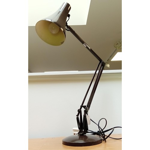 148 - Anglepoise Lamp