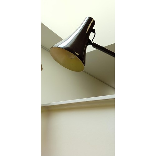 148 - Anglepoise Lamp