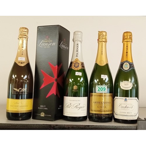 209 - Selection of champagne and fizzy wines