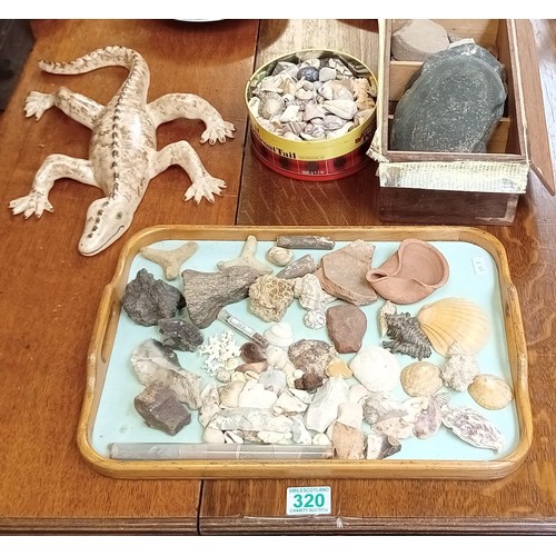 320 - Selection of fossils, shells and ceramic lizard