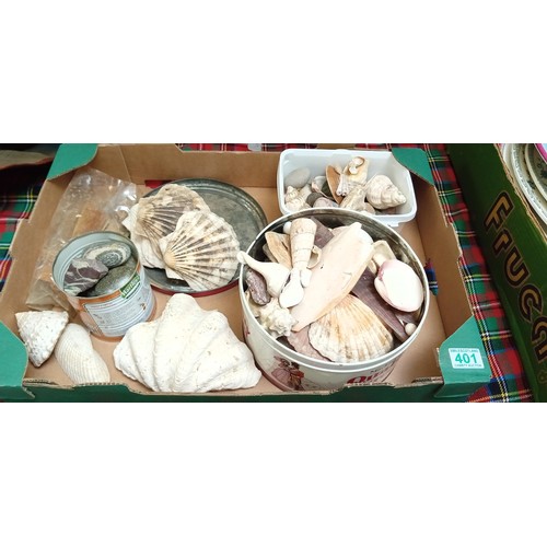 401 - Box of shells and fossils