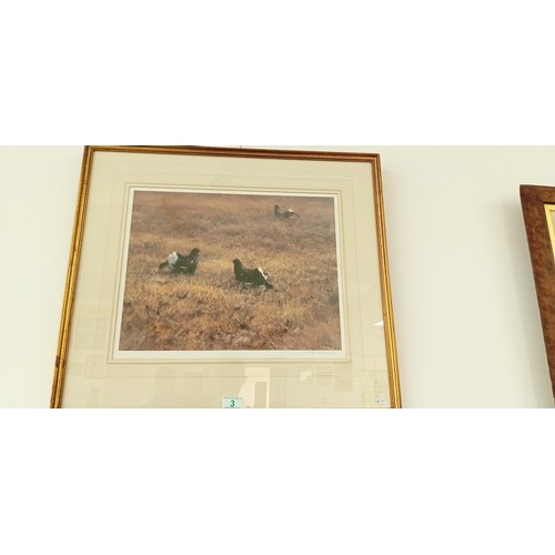 3 - Framed picture of black grouse by Dieter