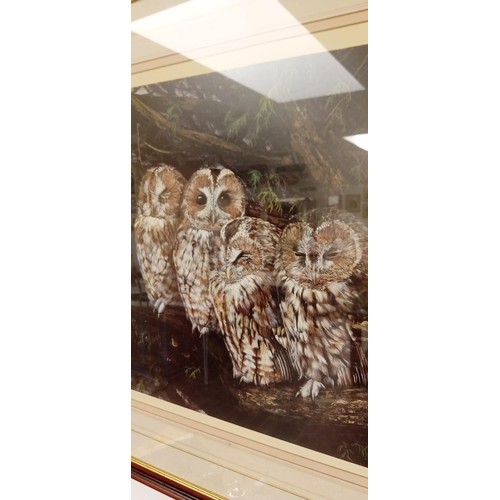 12 - Ltd. Ed framed picture of owls