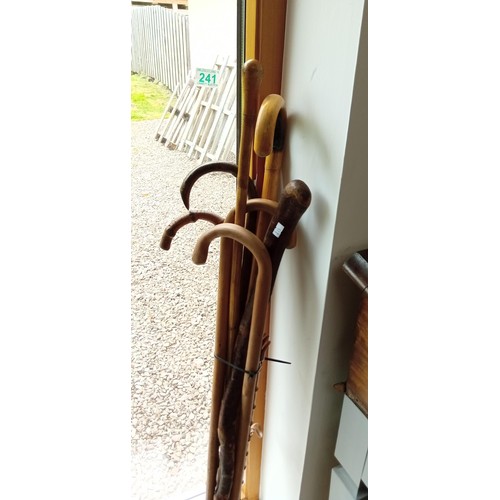 241 - Walking sticks