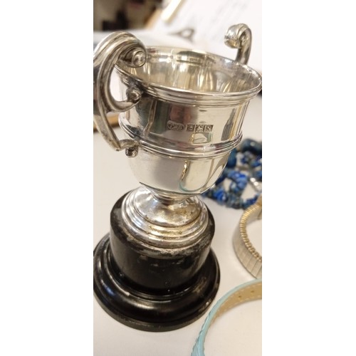 13 - Solid silver hallmarked miniature trophy plus some costume jewellery