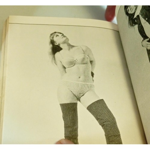 70 - Vintage erotica fettish books to include Pussies in Boots, The Americas After Dark & The Outer Fring... 