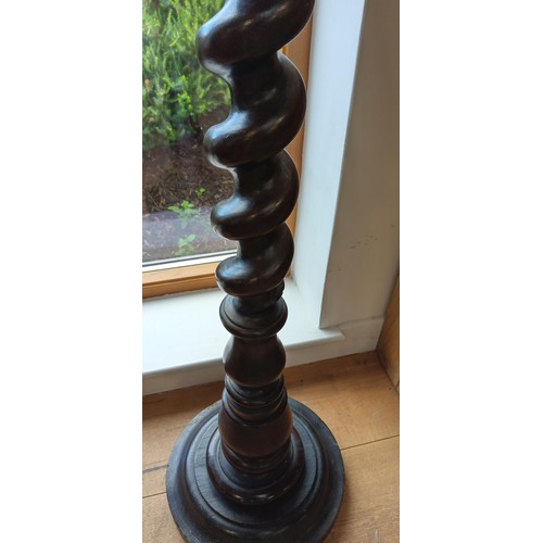 255 - English antique barley twist pedestal