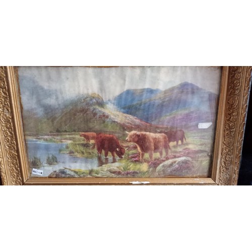 34 - 3 Framed highland cow prints