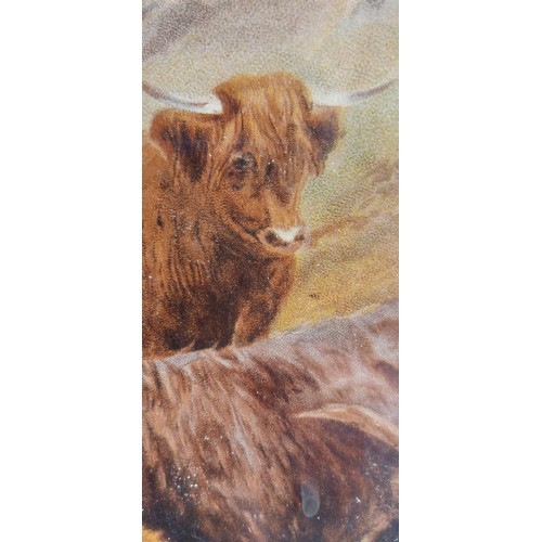 34 - 3 Framed highland cow prints