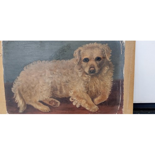 35 - Original oil painting of dog 55cm x 38cm approx.