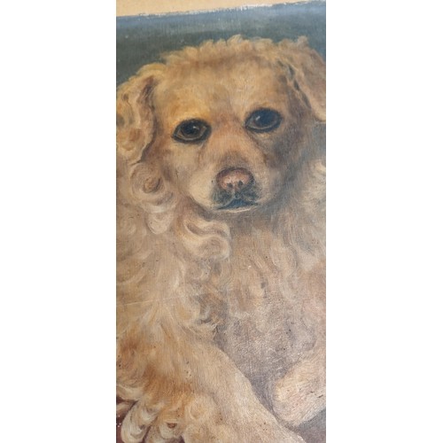 35 - Original oil painting of dog 55cm x 38cm approx.