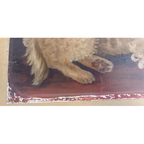 35 - Original oil painting of dog 55cm x 38cm approx.