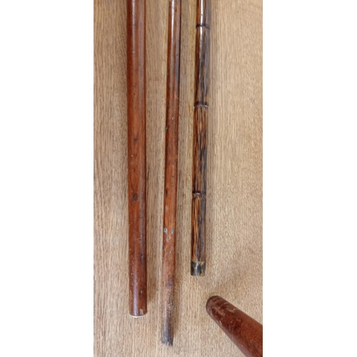 43 - 3 walking sticks one with silver handle and collar plus others