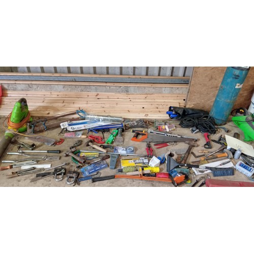 20 - Selection of mainly hand held tools, leaf blower and garden mate