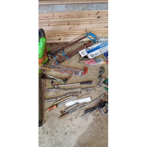 20 - Selection of mainly hand held tools, leaf blower and garden mate