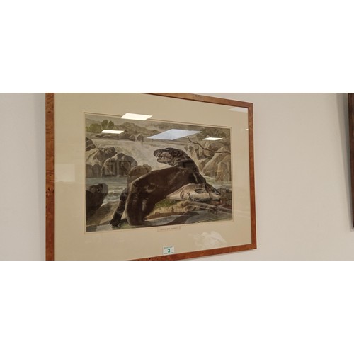 2 - Otter & Salmon by Loudan's etching