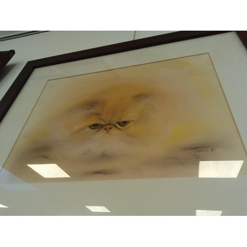 40 - Huffy the cat framed pastel by Jean Melville