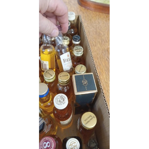 79 - Selection of vintage whisky miniatures