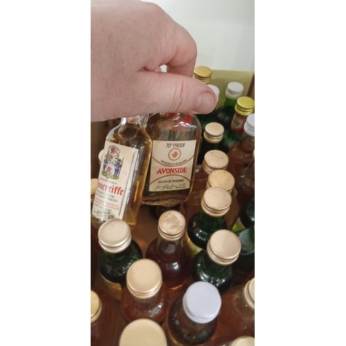 177 - Selection of miniature whisky