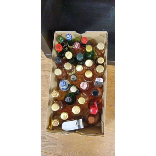 172 - Selection of mainly whisky miniatures