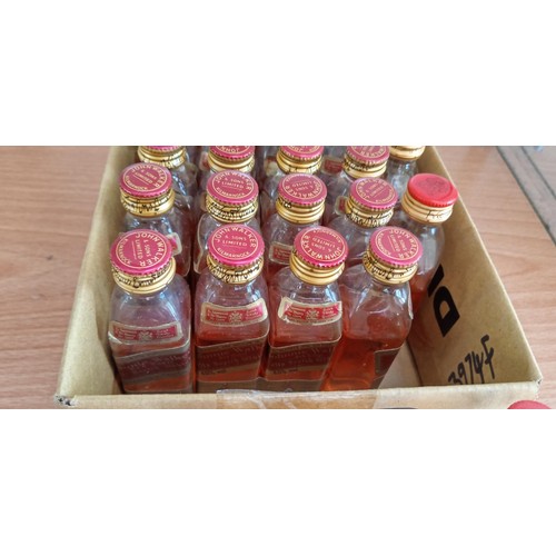 140 - Over 20 Johnnie Walker red label 40 vol 5cl plastic bottle miniatures and a few more