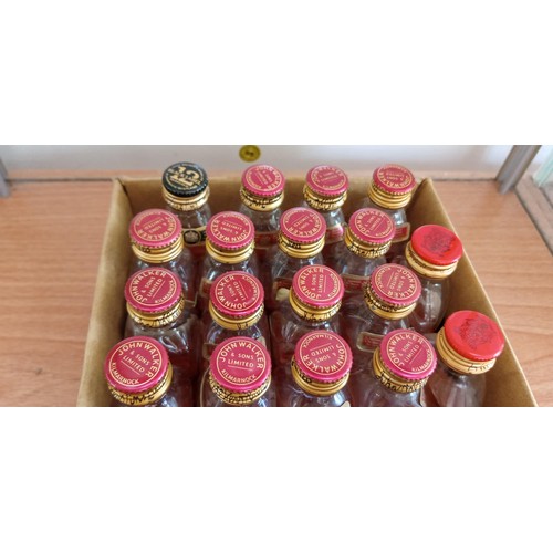 140 - Over 20 Johnnie Walker red label 40 vol 5cl plastic bottle miniatures and a few more