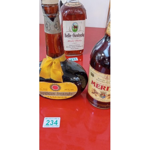 234 - Apricot Brandy, Grand Marnier & Merito Brandy