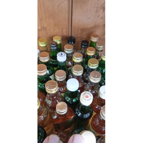 252 - Good selection of whisky miniatures