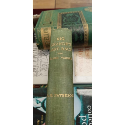 295 - Collection of books on poetry to include Longfellow illustrated (c1881) and 'Rio Grande's Lost Race'... 