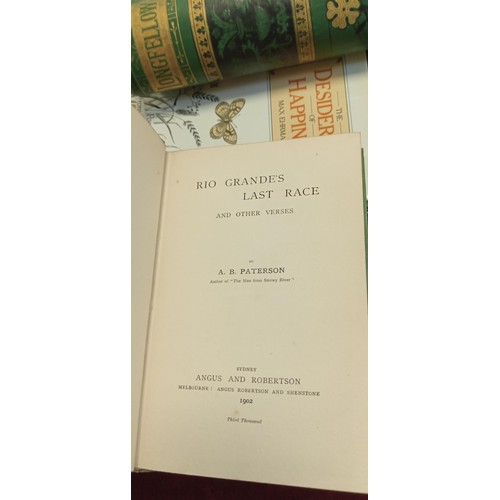 295 - Collection of books on poetry to include Longfellow illustrated (c1881) and 'Rio Grande's Lost Race'... 