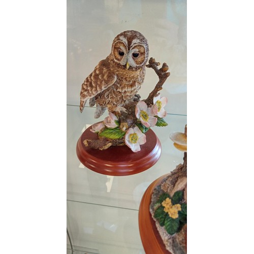 45 - 3 Border Fine Arts owl ornaments