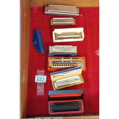 223 - Selection of vintage mouth organs Hohner Pro Harp, The Echo Super Vamper by M Hohner, Marine Band Ho... 