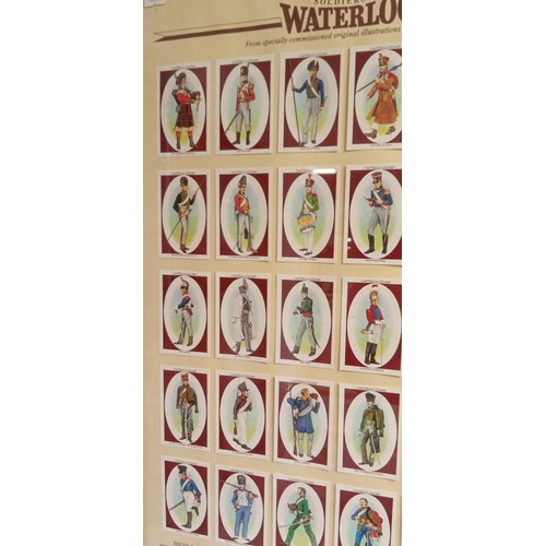 239 - Framed Castella Cigars Battle of Waterloo cigarette cards