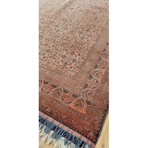 55 - Handmade Azerbaijan rug sun faded burgundy/ brown field 310cm x 2m approx.