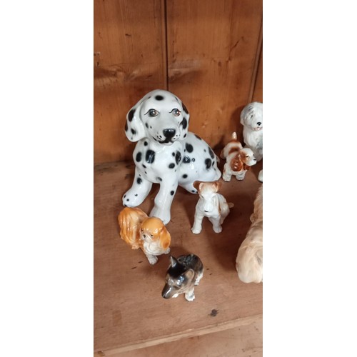 159 - Selection of ceramic dogs